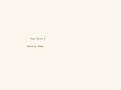 galerie-test-2.png